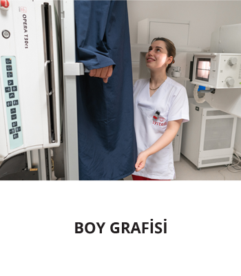 BOY-GRAFISI